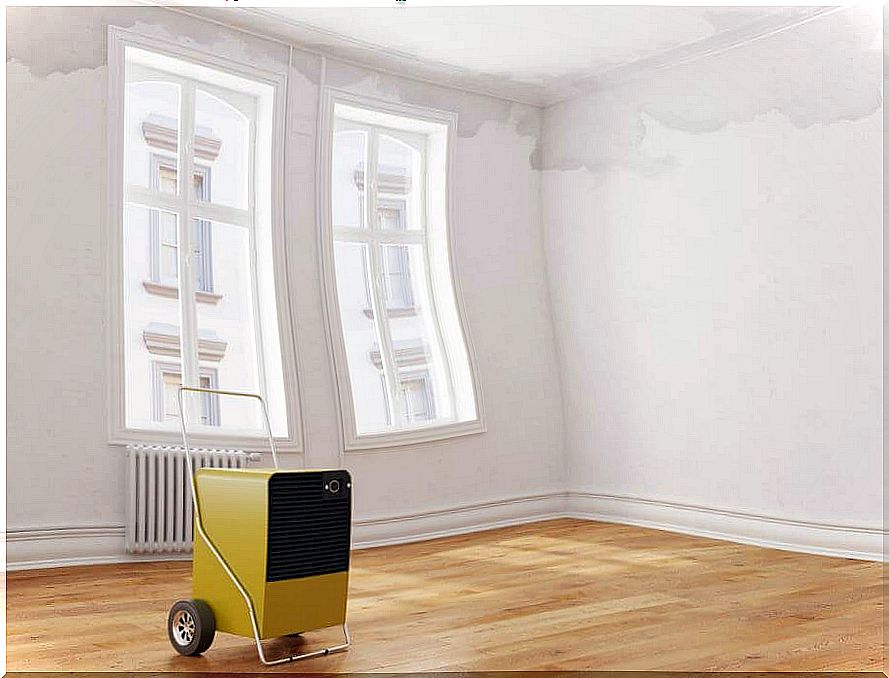 use a dehumidifier to combat humidity in the home.