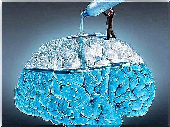 The benefits of good hydration on the brain