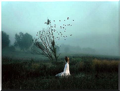 let go woman alone with flying birds