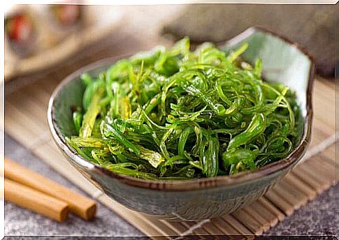 green algae recipe