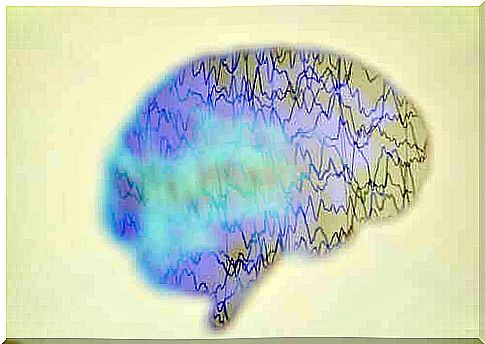 What happens in the brain during a seizure?