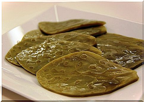 The nopal for the colon.