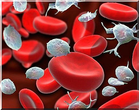 A drawing of red blood cells