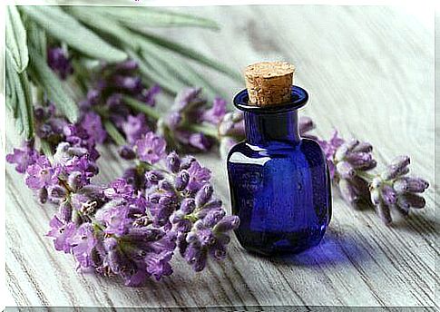 Lavender oil