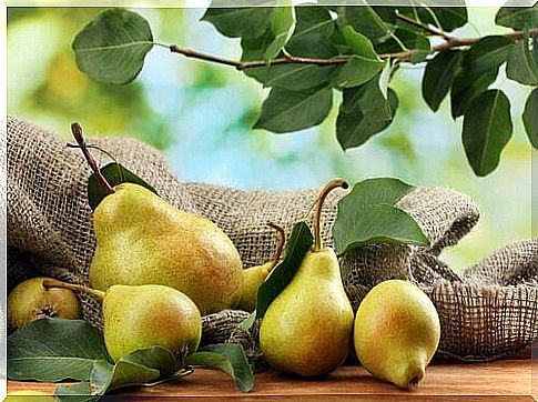 Pears against overweight.